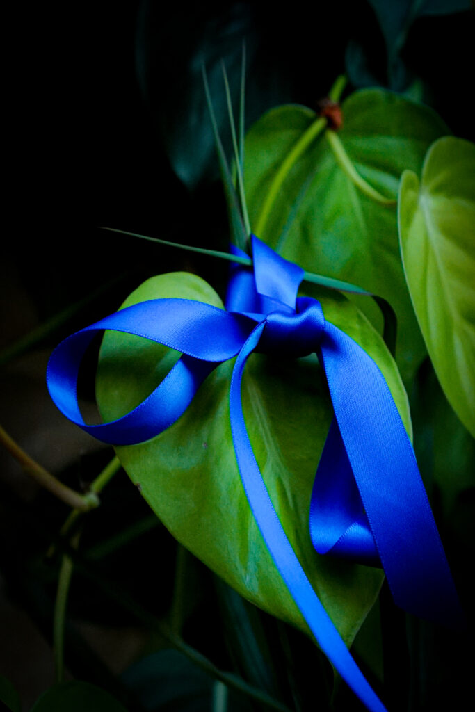 Green Leaf with Blue Ribbon on Dark Foliage Wallpaper Background