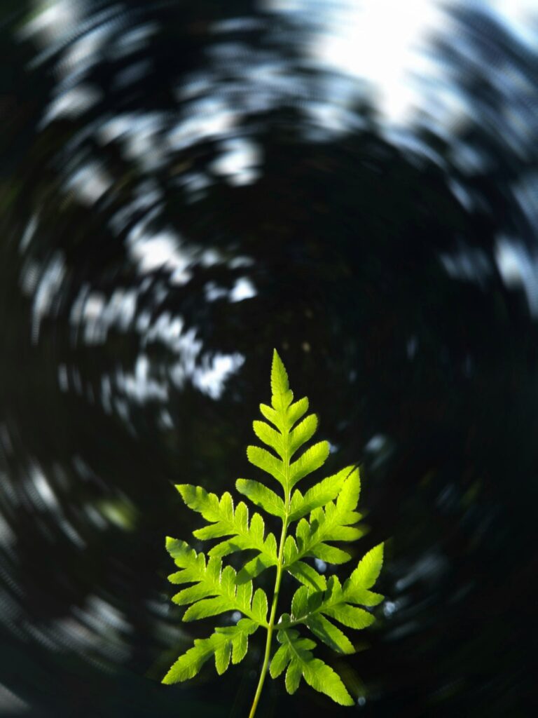 Vibrant green leaf in sharp focus with blurred swirling background nature wallpaper design