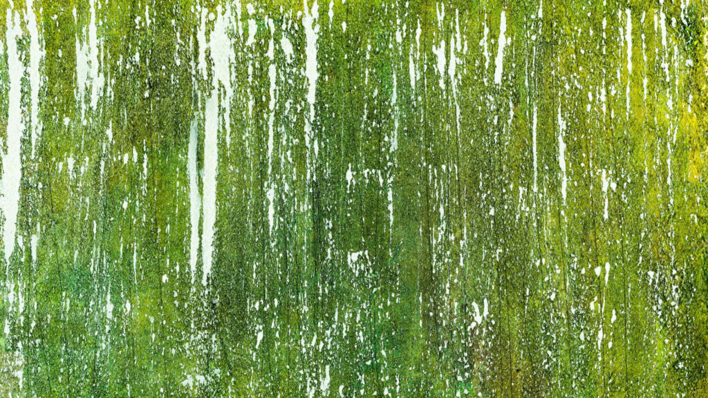 Vibrant Green Leaves Wallpaper: Textured Natural Aesthetic for Walls