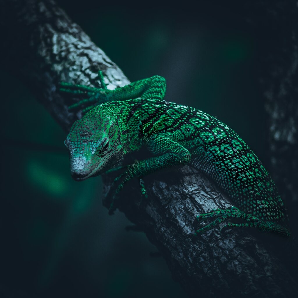 Vibrant Green Lizard on Tree Branch - Serene Natural Background Wallpaper