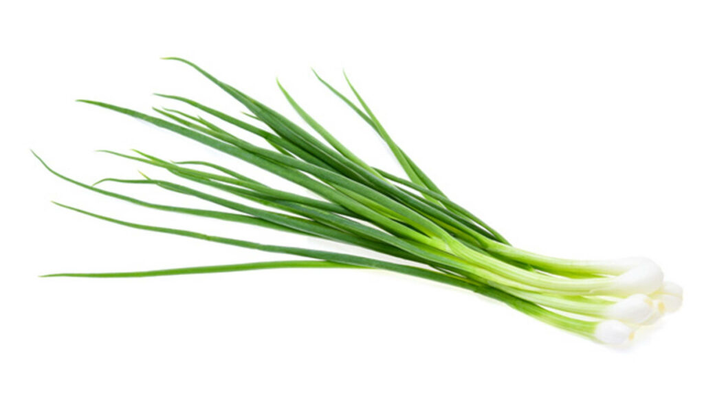 Fresh Green Long Leaf Onions Wallpaper: Vibrant Natural Texture