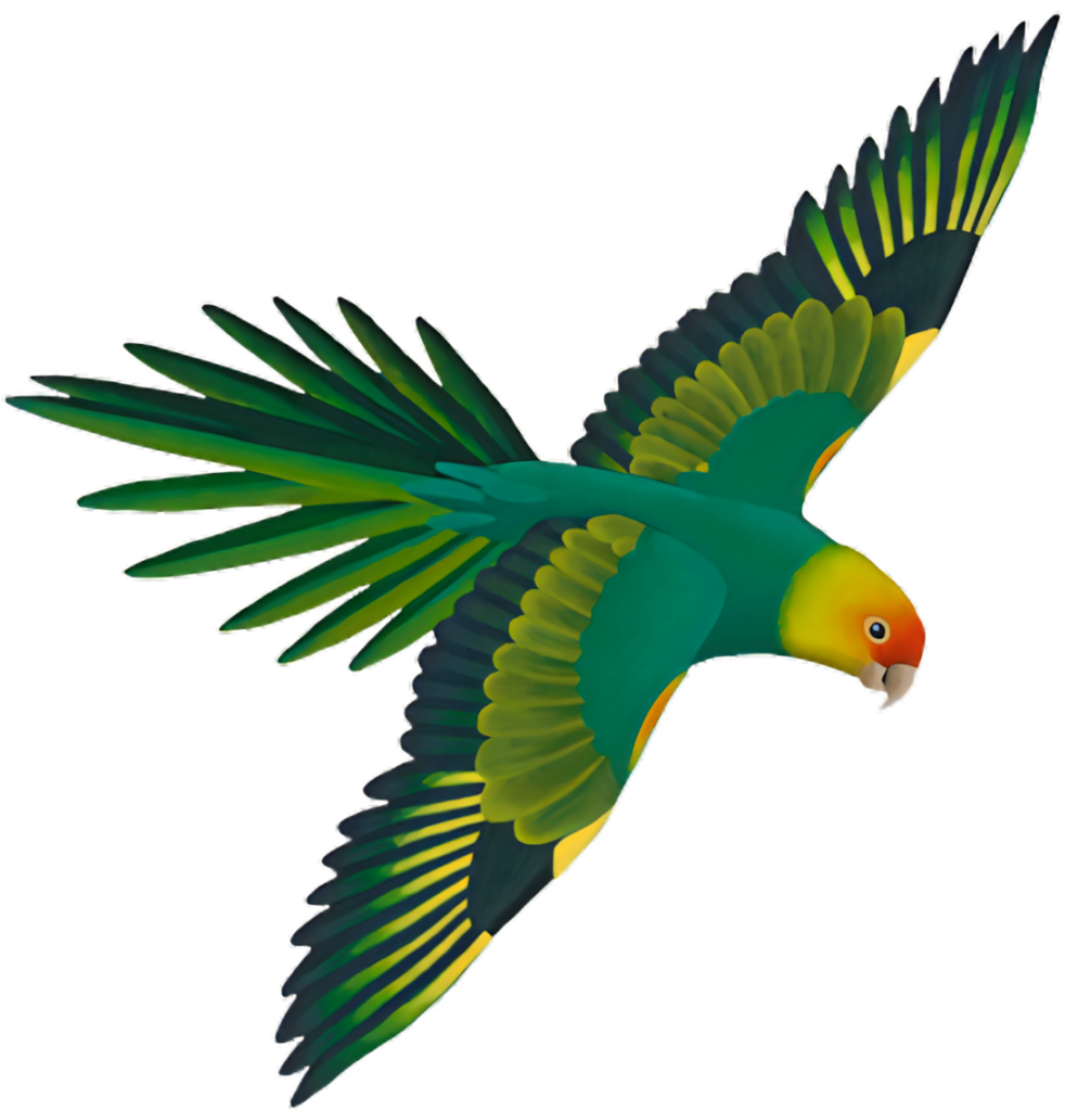 Vibrant Green Parrot in Flight - Colorful Bird Wallpaper Background