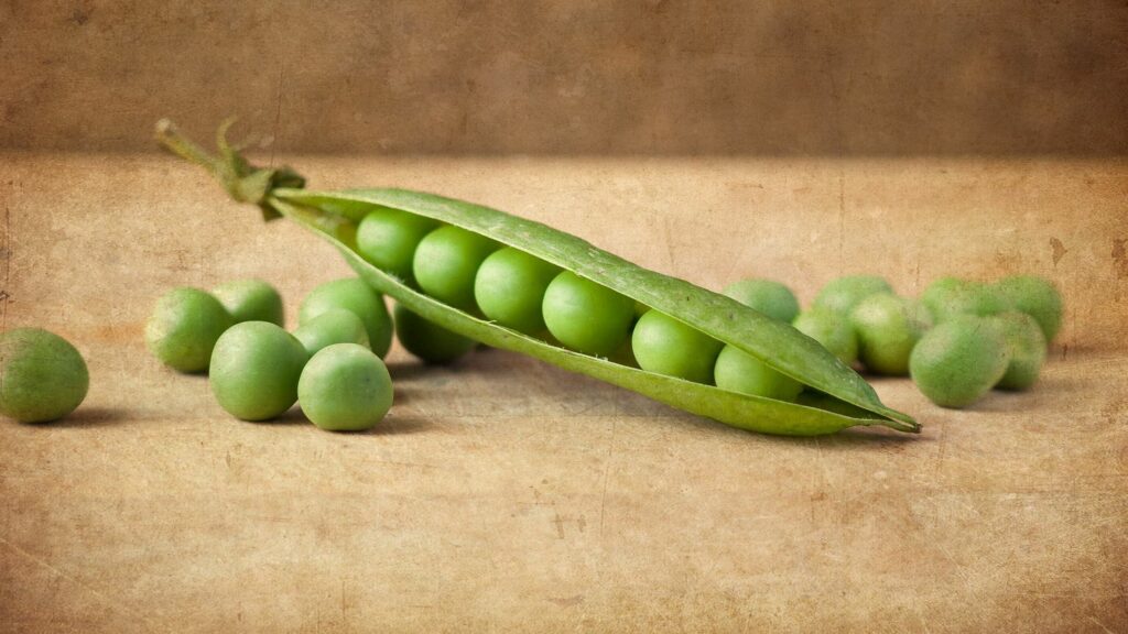 Vibrant Green Pea Pod Wallpaper with Rustic Texture Background
