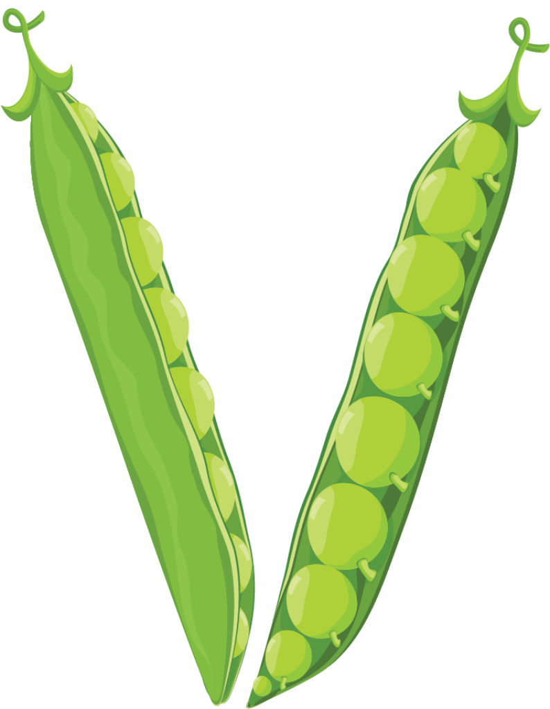 Vibrant Green Peas in Open Pods - Fresh Nature Wallpaper Background
