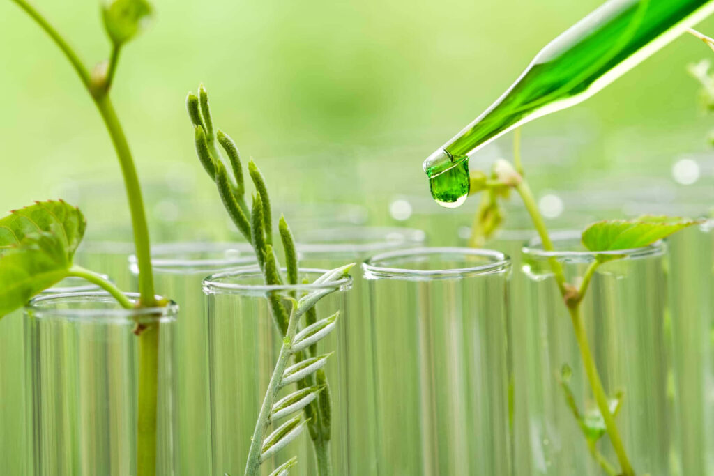 Clear glass test tubes with green plant stems and pipette adding liquid in lab setting wallpaper