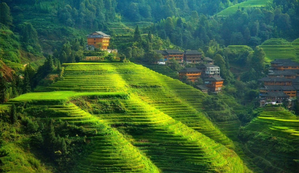 Vibrant green rice terraces and traditional wooden homes on rolling hills in rural China landscape Wallpaper