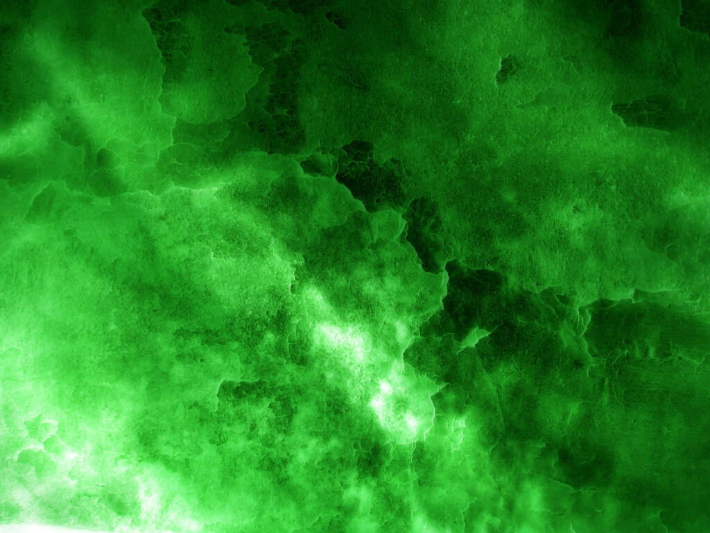 Vibrant Green Texture Wallpaper: Organic Moss Patterns & Serenity