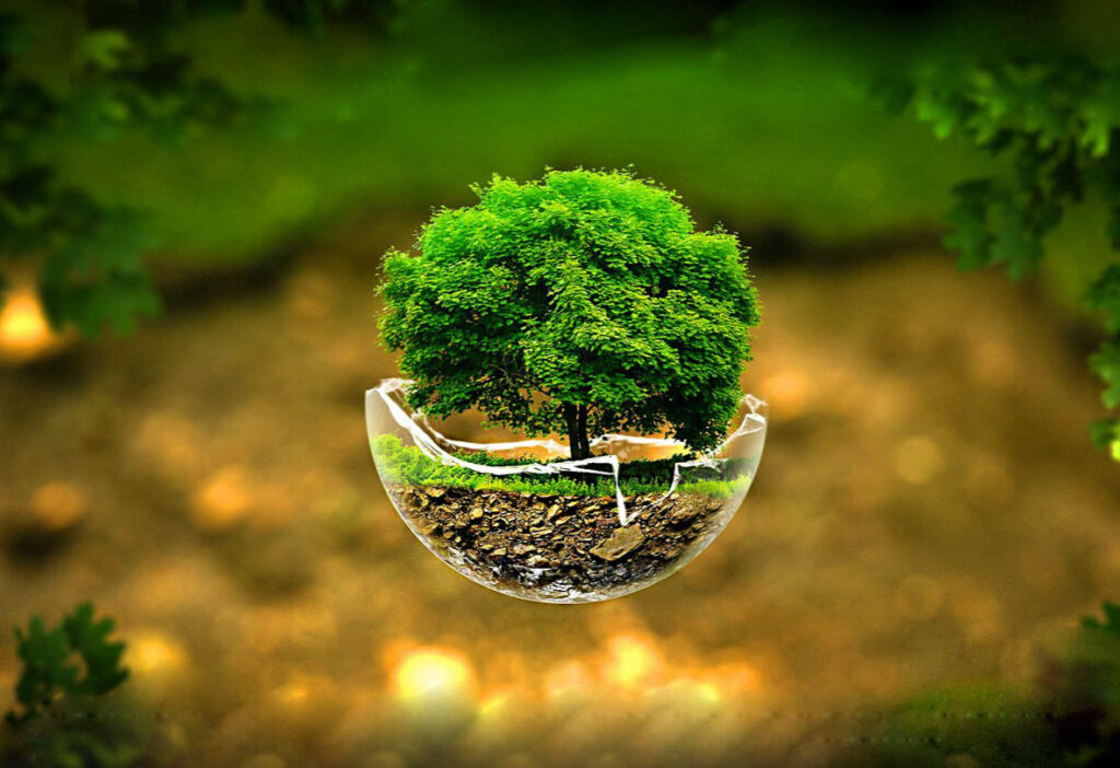 Vibrant Green Tree in Broken Glass Sphere - Nature's 3D Art Wallpaper