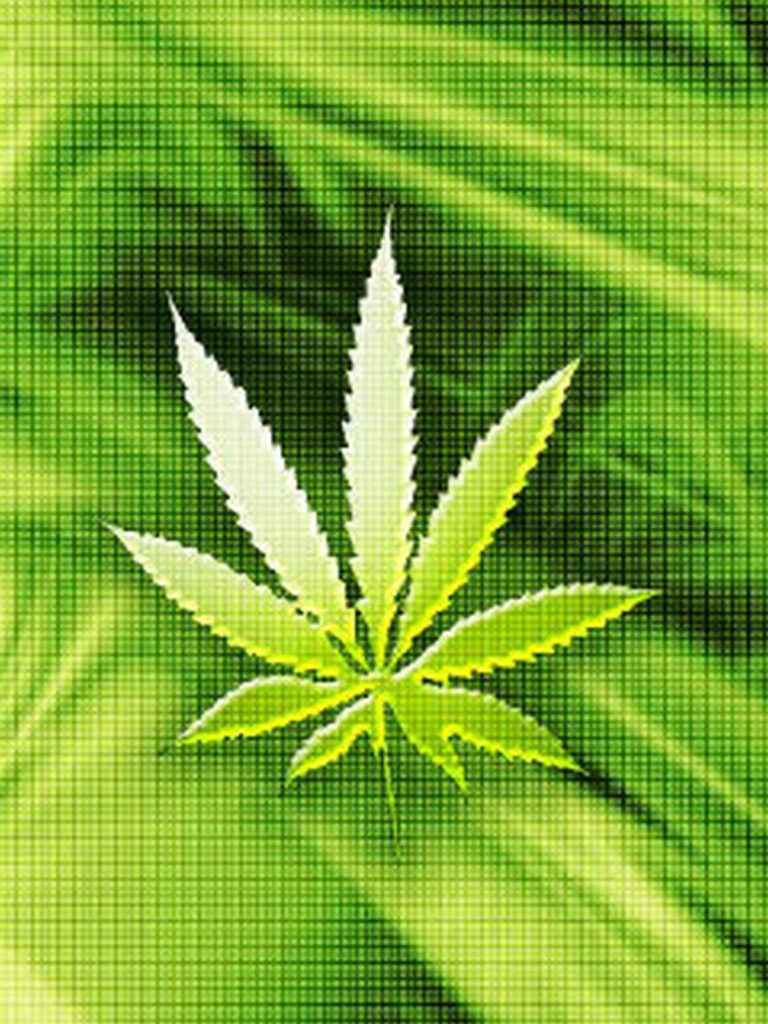 Vibrant Green Weed Leaf Wallpaper with Abstract Square Pattern
