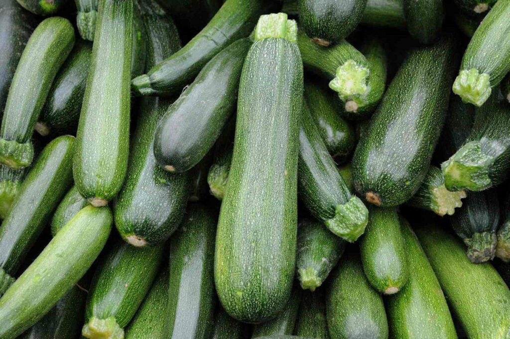 Vibrant Green Zucchini Wallpaper: Fresh Harvested Natural Beauty