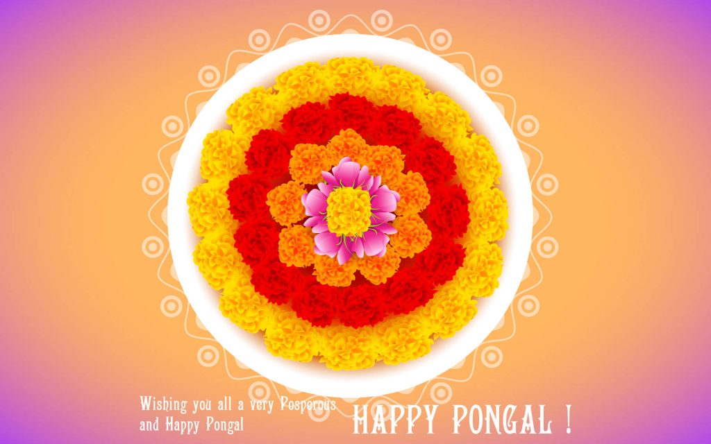 Happy Pongal wallpaper with vibrant floral rangoli in yellow orange red on glowing background