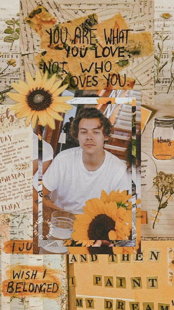 Vibrant Harry Styles Collage Wallpaper with Sunflowers & Warm Tones