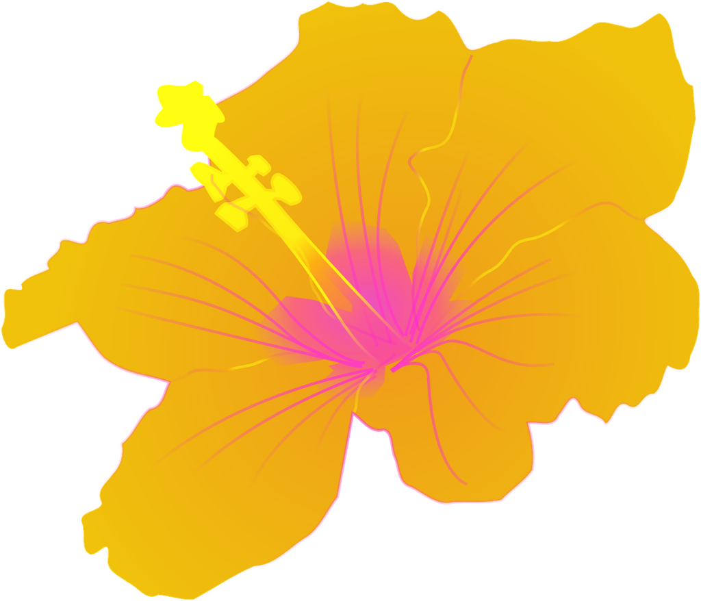 Vibrant Hawaiian Hibiscus Wallpaper: Bold Yellow & Pink Design