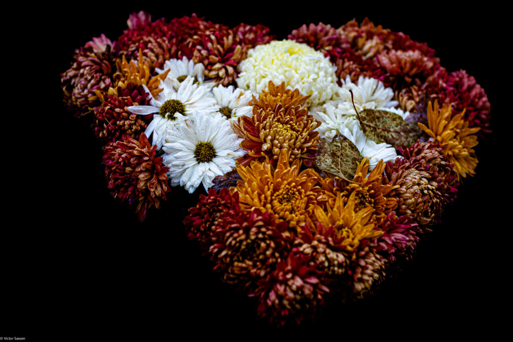 Vibrant Heart-Shaped Flower Wallpaper on Black Background