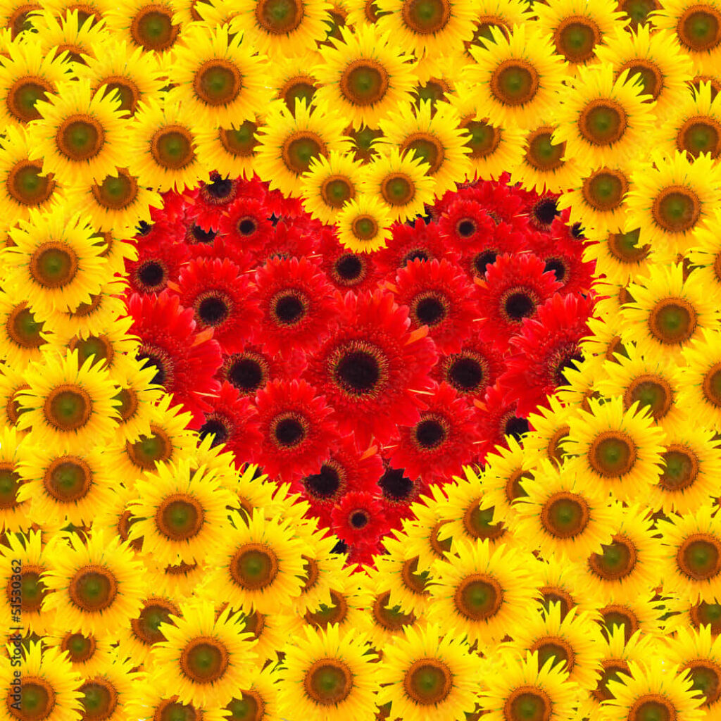 Stunning Heart-Shaped Red Sunflower Wallpaper on Vibrant Yellow Background
