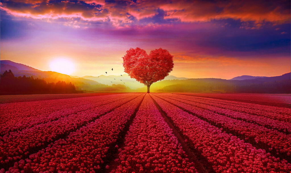 Vibrant Heart-Shaped Tree Wallpaper: Romantic Sunset & Colorful Flowers