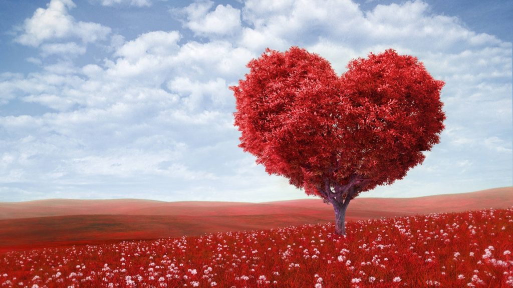 Whimsical tree with red heart-shaped leaves in white flower field under bright blue sky wallpaper