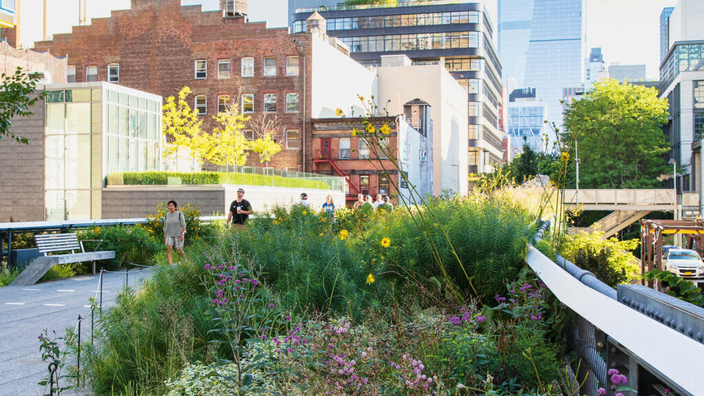 Vibrant High Line NYC Wallpaper: Lush Greenery & Urban Design