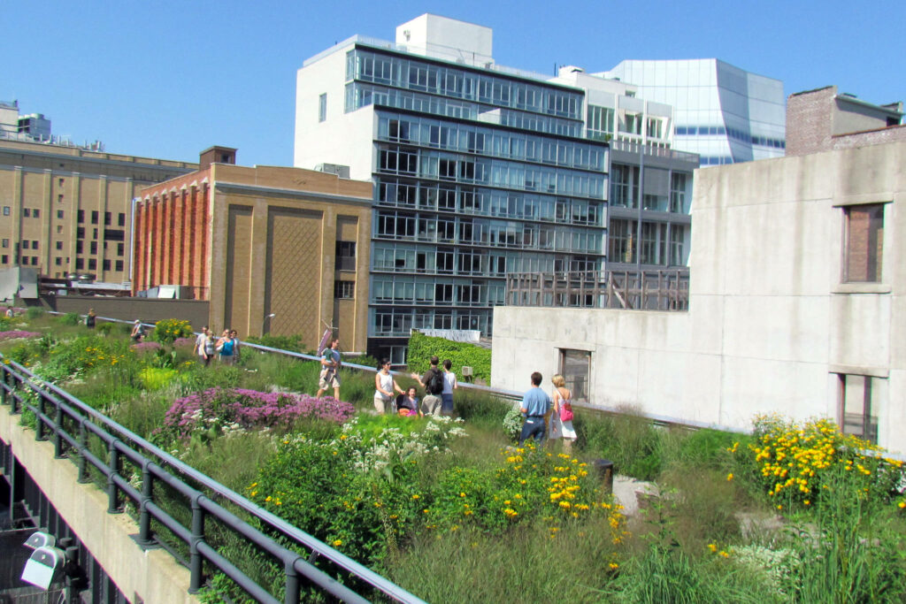 Vibrant High Line Wallpaper: Flowers & Greenery in NYC