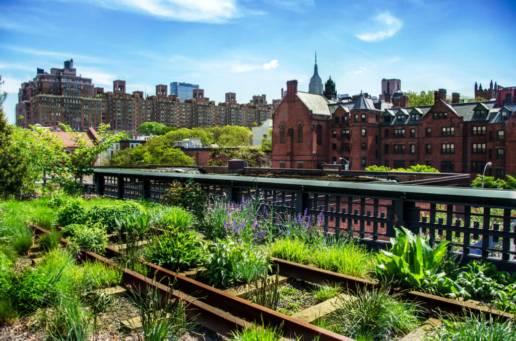 Vibrant Wallpaper: Lush Green High Line Plants & Urban Skyline
