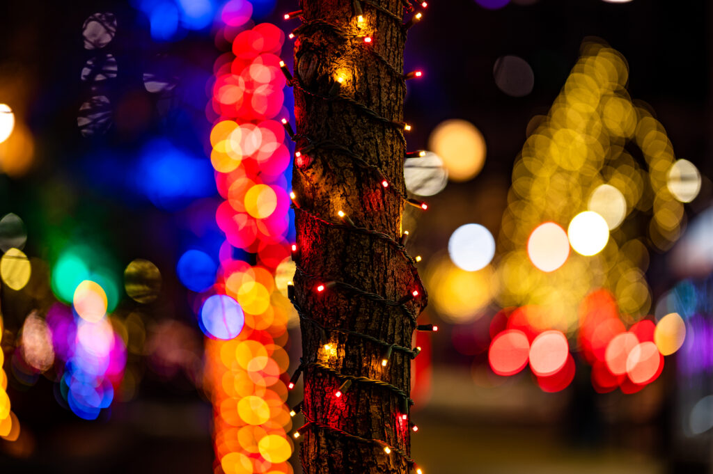 Festive Holiday Wallpaper: Tree Trunk with Colorful Lights & Bokeh