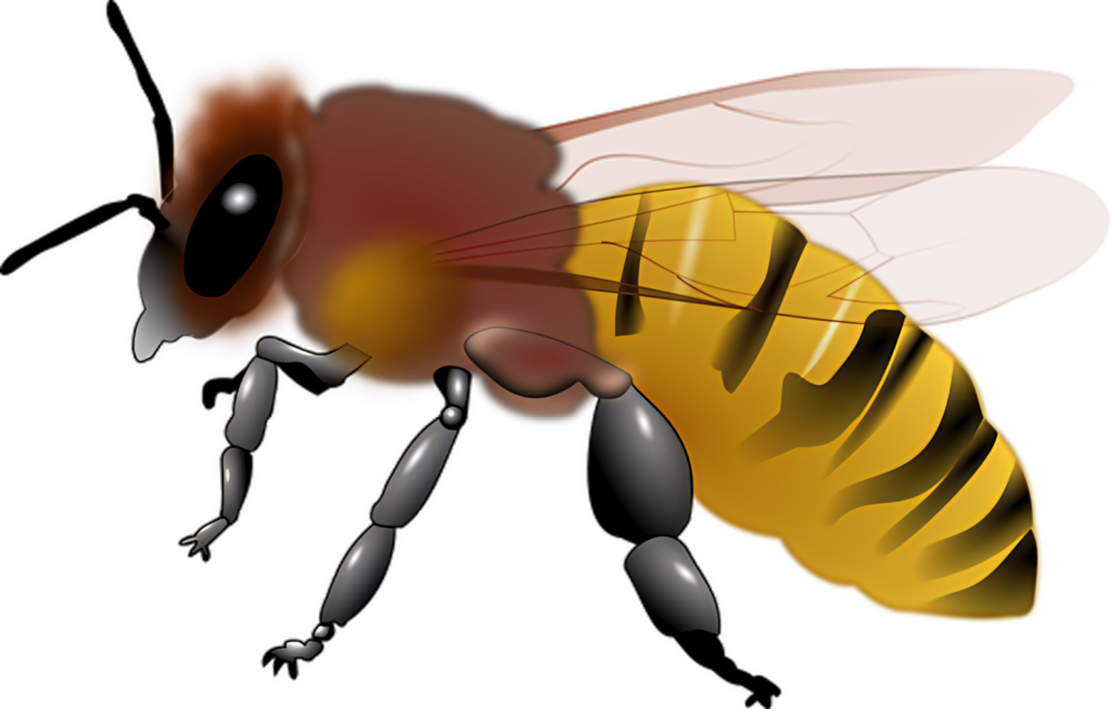 Vibrant Honeybee Illustration with Detailed Wings & Striped Body Wallpaper