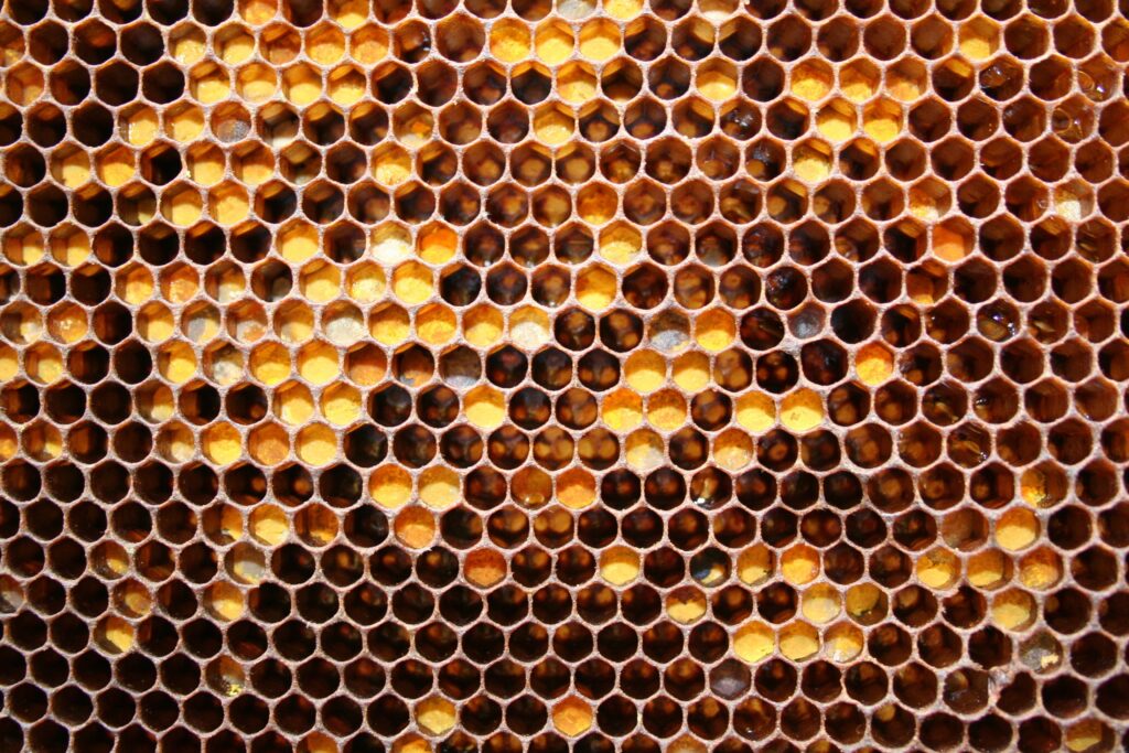 Stunning Honeycomb Close-Up: Golden Honey & Hexagonal Patterns Wallpaper