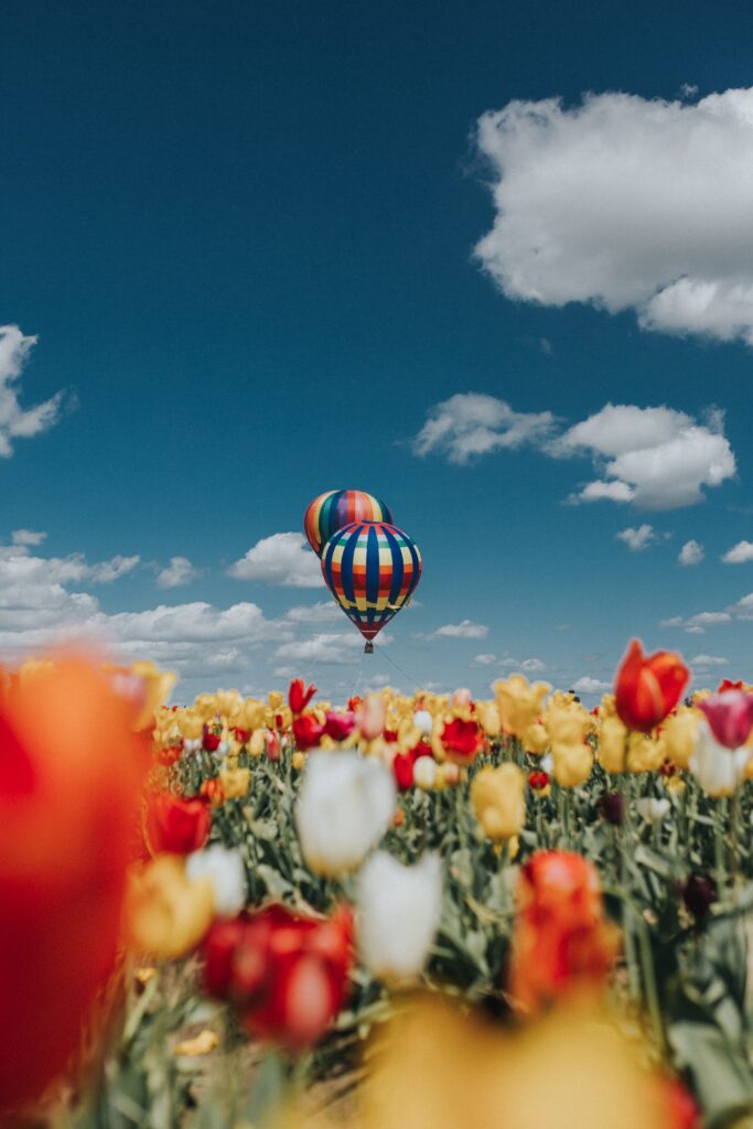 Vibrant hot air balloon floats over colorful tulip field under clear blue sky scenic adventure Wallpaper