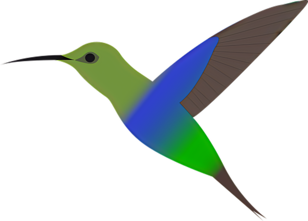 Colorful Hummingbird Vector Wallpaper with Smooth Gradient Background
