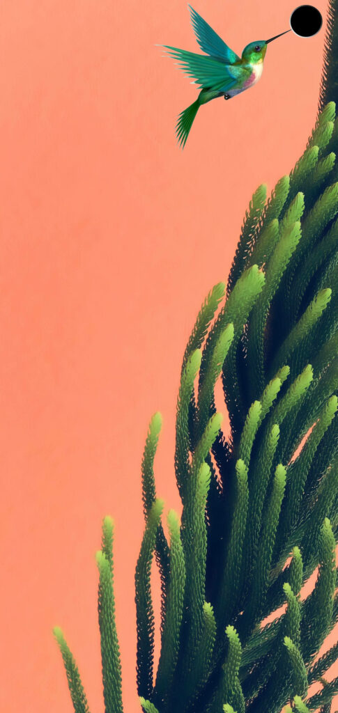 Serene Green Hummingbird Wallpaper for Samsung S10 - Coral Background