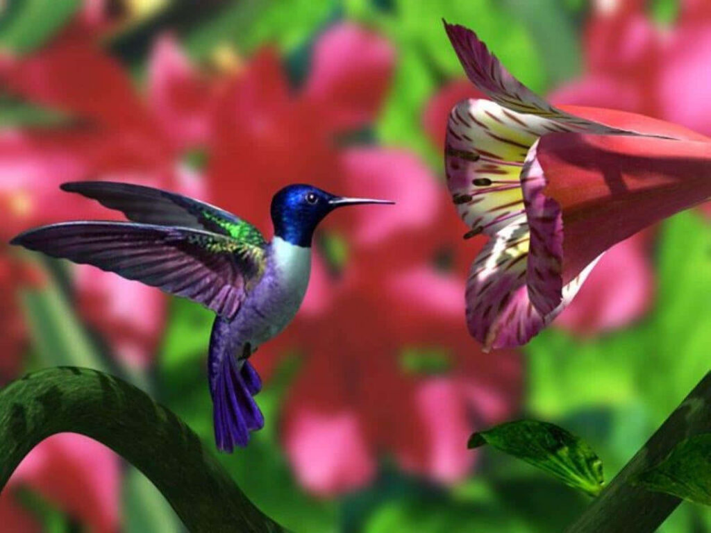 Vibrant Hummingbird Wallpaper: Morning Glow & Colorful Floral Background