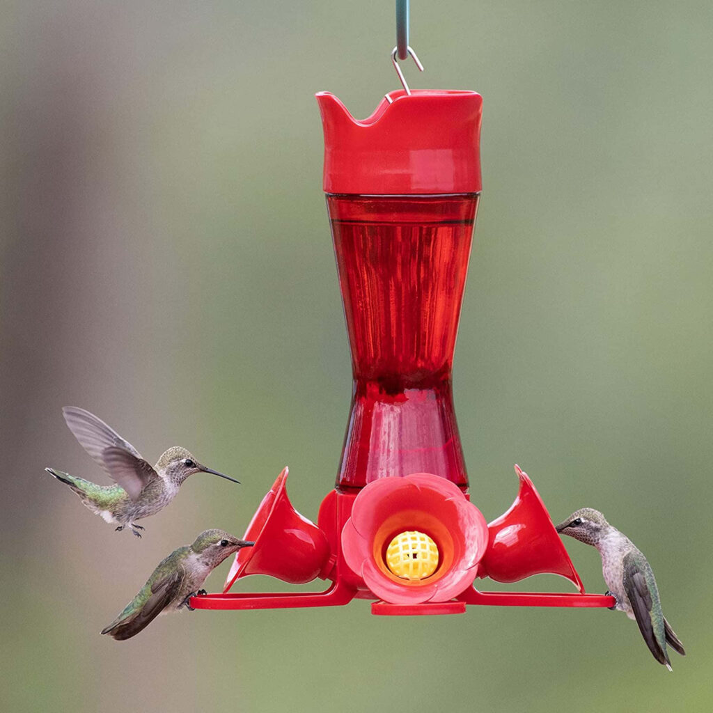 Vibrant Hummingbirds Feeding at Red Feeder: Nature's Beauty Wallpaper