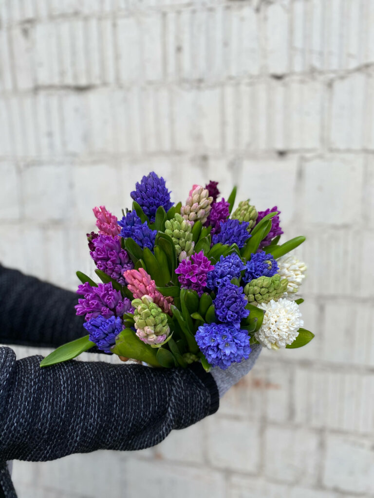 Colorful Hyacinth Bouquet Against Textured Brick Background Wallpaper