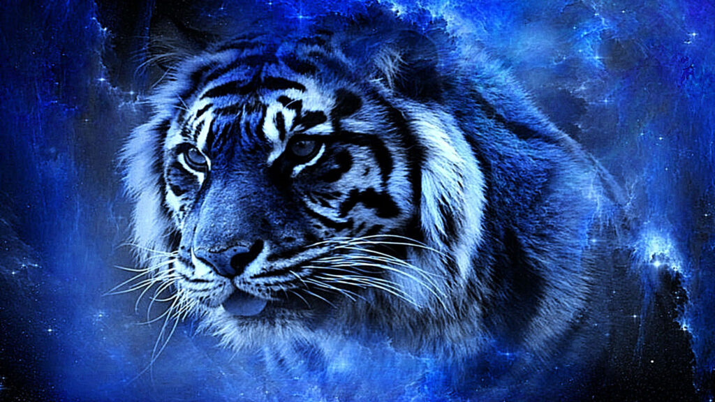 Majestic Indian Tiger Wallpaper Against Striking Blue Cosmic Background