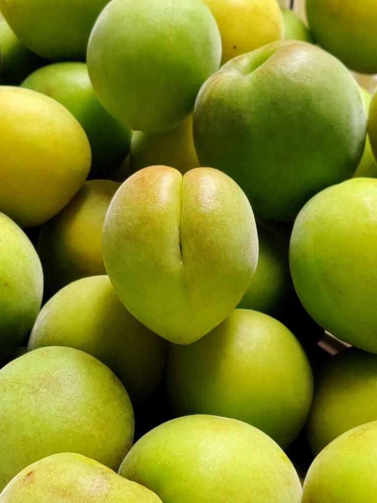 Vibrant Japanese Plum Wallpaper: Fresh Green Color & Smooth Texture