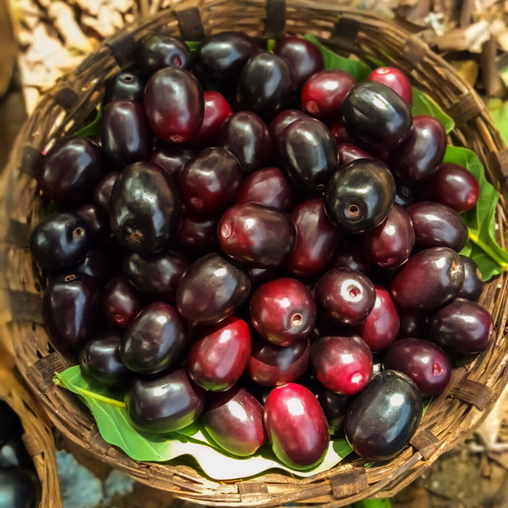 Basket of fresh red and purple Java plums on green leaves vibrant flat lay wallpaper background