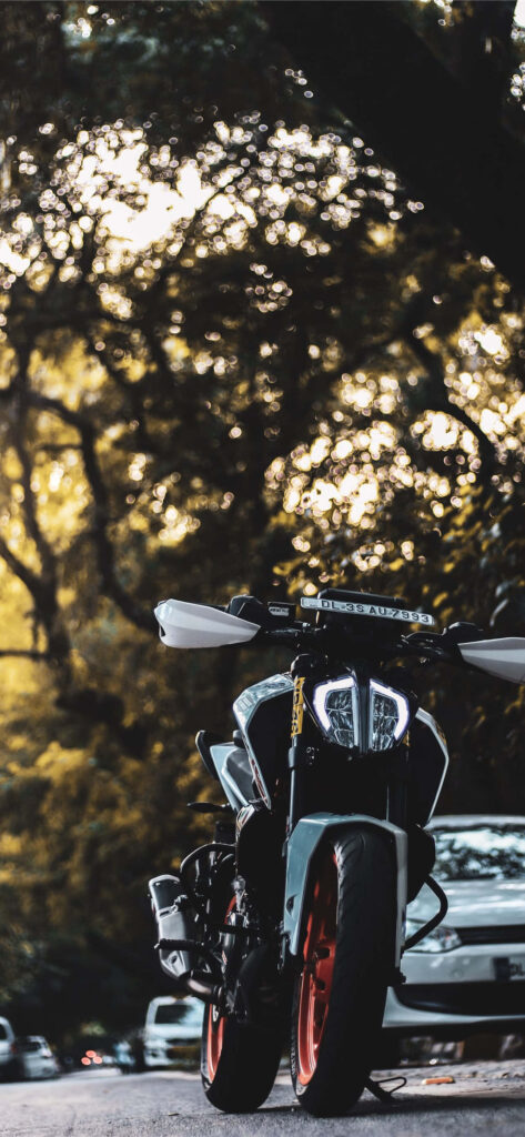 Vibrant KTM Duke 390 Wallpaper: Motorcycle in Scenic Greenery