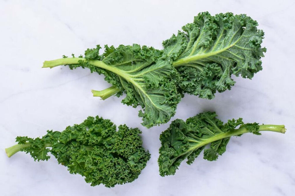 Fresh Green Kale Wallpaper: Nutrient-Rich Cruciferous Background