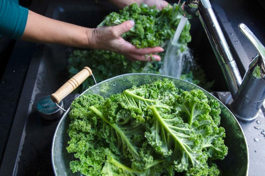 Fresh Kale Wallpaper: Clean & Vibrant Greens Under Running Water