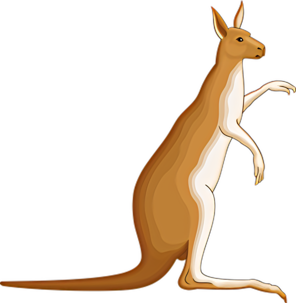 Vibrant Vector Kangaroo Wallpaper - Striking Colorful Design