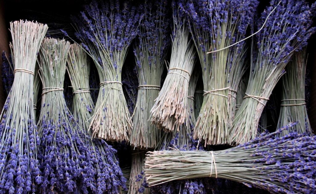 Vibrant Purple Lavender Bunches on Rustic Background Wallpaper