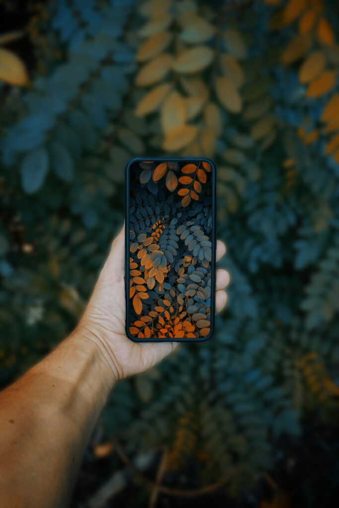 Captivating Smartphone Wallpaper: Vibrant Orange & Green Leaves