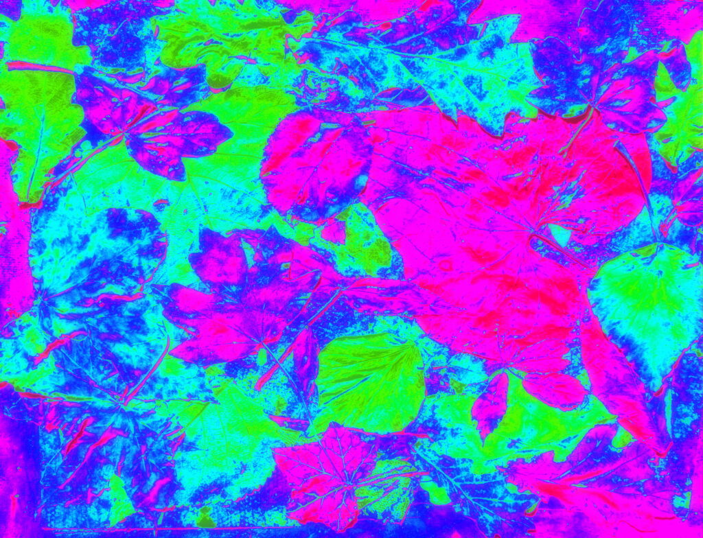 Vivid Leaf Abstract Wallpaper for Energetic Backgrounds