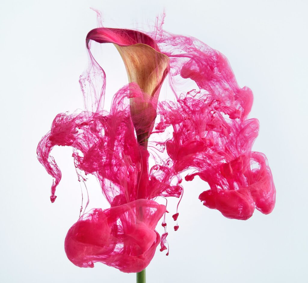 Vibrant Lily Wallpaper with Swirling Pink Ink on Light Background