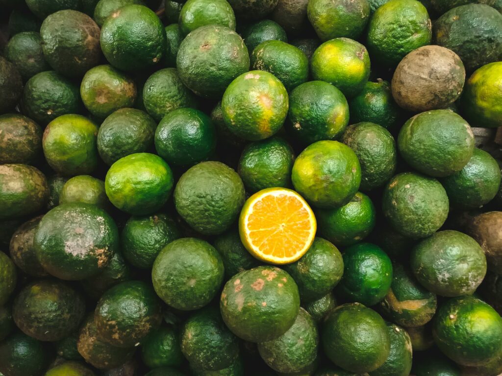 Vibrant Lime Wallpaper with Halved Citrus Contrast Background