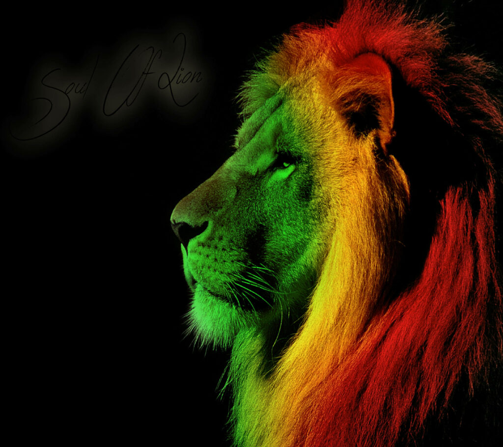 Vibrant Lion Wallpaper: Bold Artwork with Multi-Colored Mane