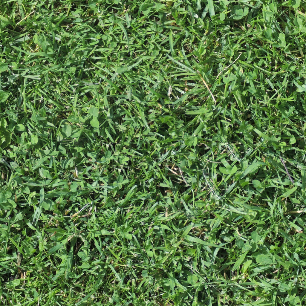 Lush Green Grass Texture Wallpaper for a Fresh Natural Ambiance