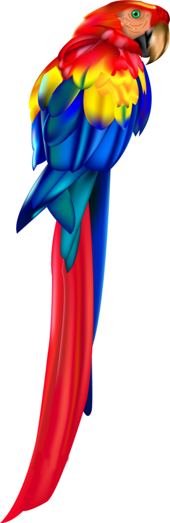 Vibrant Macaw Parrot Wallpaper - Colorful Feather Illustration