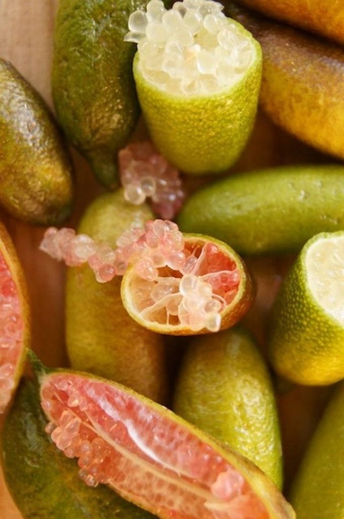 Macro shot of vibrant fresh finger limes showing translucent citrus caviar texture and colorful rinds Wallpaper