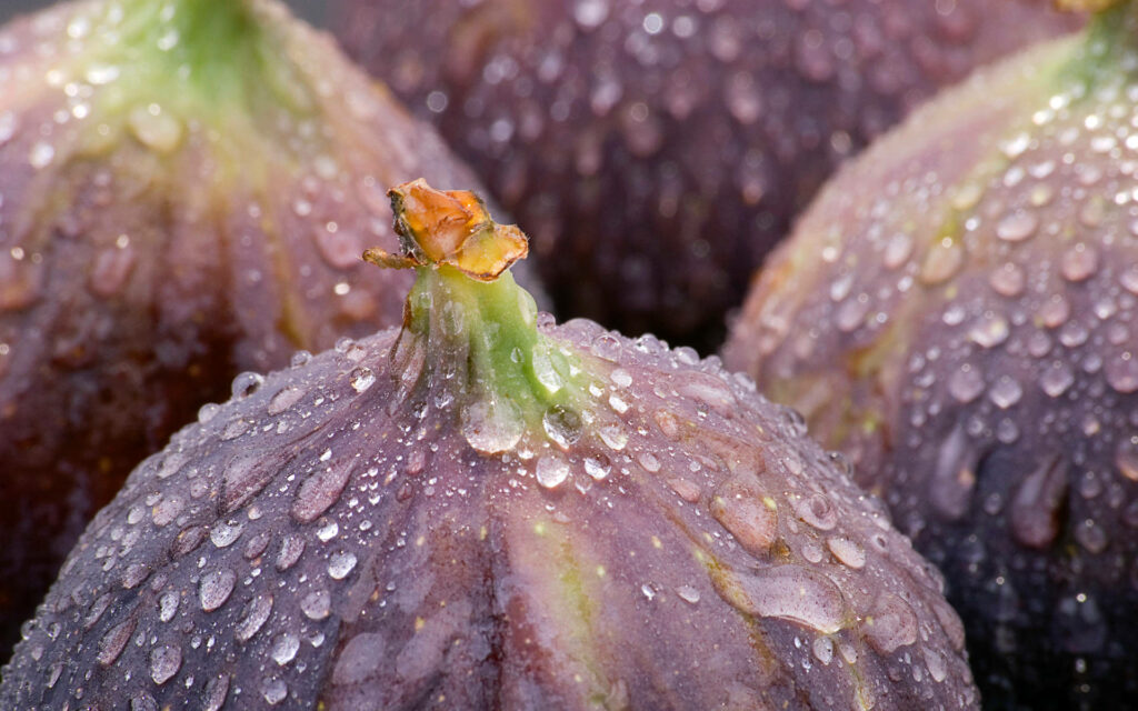 Vibrant Close-Up of Freshly Washed Figs: Macro Wallpaper Background